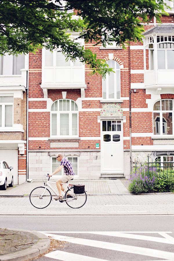 B&B Villa Des Roses Hasselt Ngoại thất bức ảnh